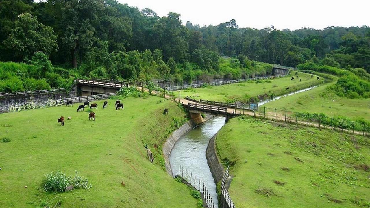 Mysore Tourist Places Zoo