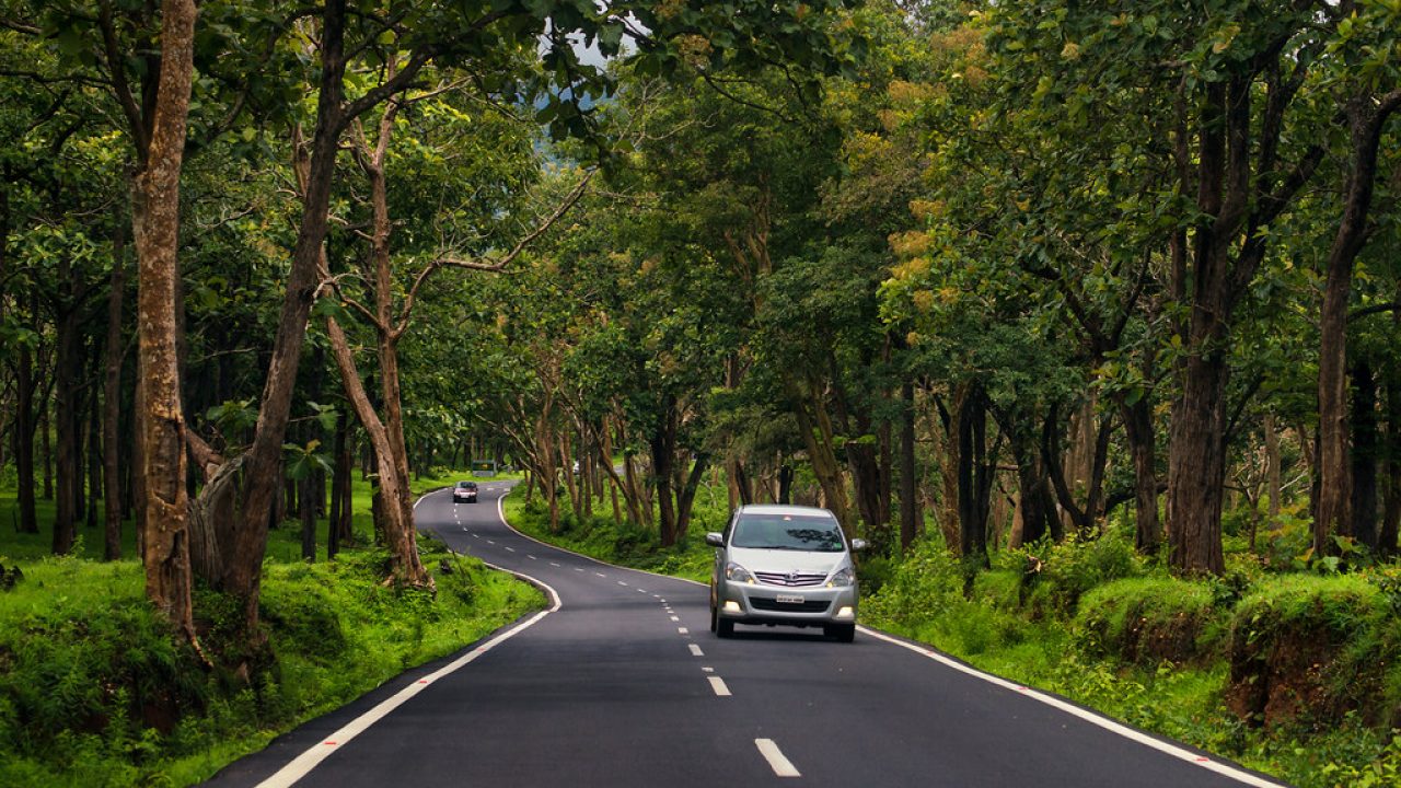 Self-Drive Road Trips from Bangalore to Bandipur Forest - Things to do in Bandipur Forest