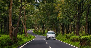 Self Drive Road Trip from Bangalore to Bandipur Forest