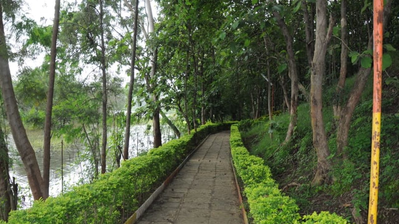 15 Best Picnic Spots In And Around Pune Places To Visit And Things To Do