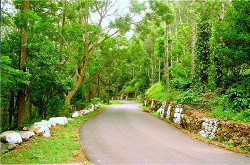 best road trips south india