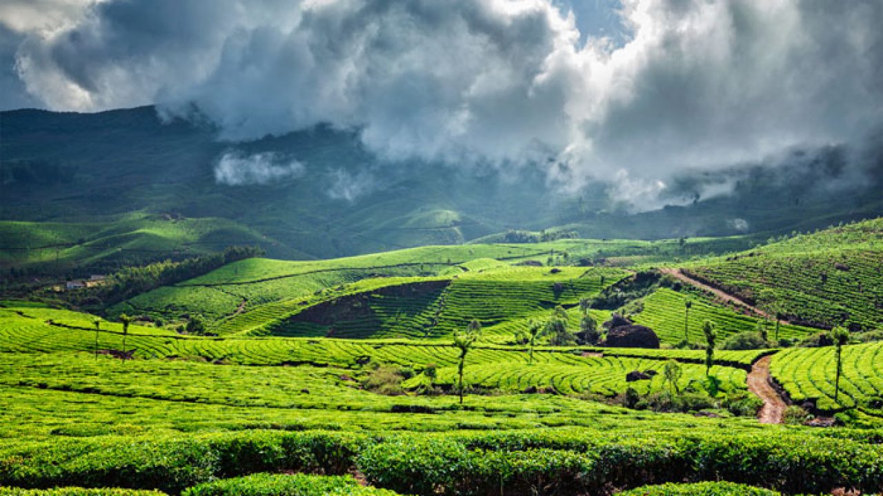 Chennai to Munnar