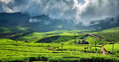 Munnar