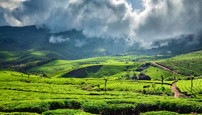 chennai to munnar tourist places