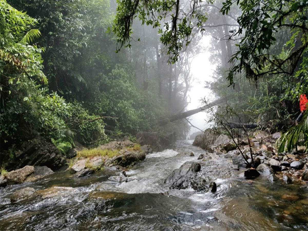 Best One Day Road Trips from Mangalore - 13 best tourist attractions near Mangalore
