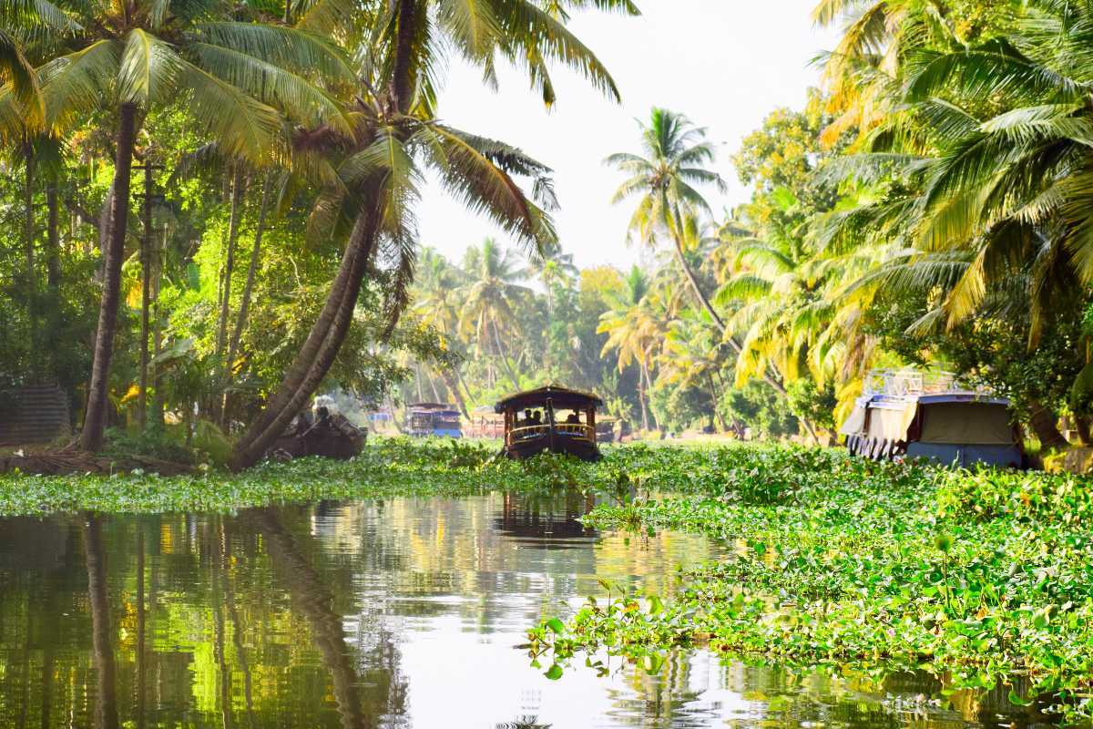 trip places kerala