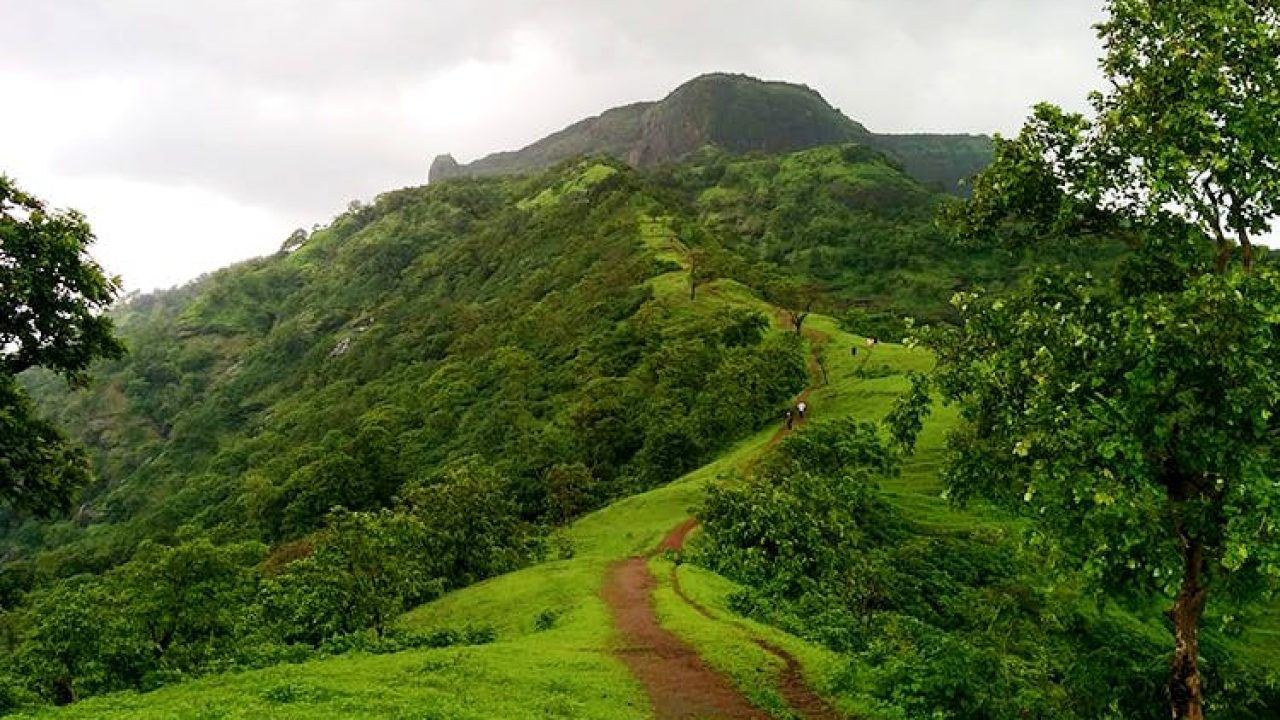 Road Trips To Stunning Hill Stations Near Pune 6 Best Hill Stations Near Pune Road Trips To Stunning Hill Stations Near Pune 6 Best Hill Stations Near Pune