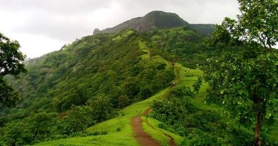8 Top Hill Stations of Maharashtra You Must visit in Summer 2021