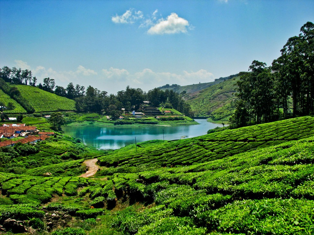 Best Road Trips To Hill Stations Near Chennai 6 Best Hill Stations 