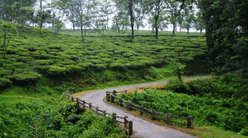 Hills near kolkata