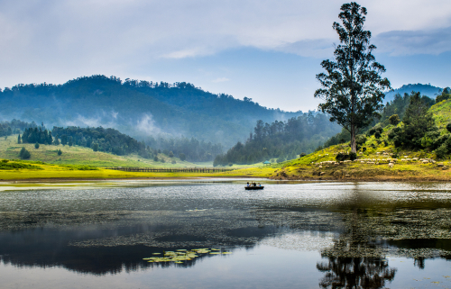 road trip from bangalore to kodaikanal