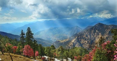 Road Trips from Chandigarh to Dehradun