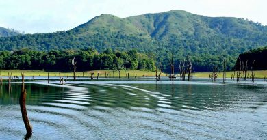 Thekkady, Kerala