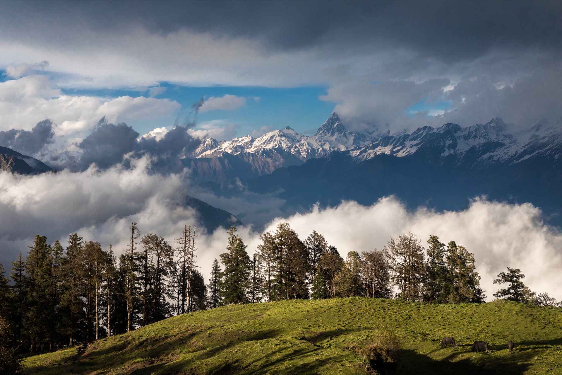 research paper on uttarakhand tourism