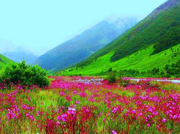 places to visit in uttarakhand in july