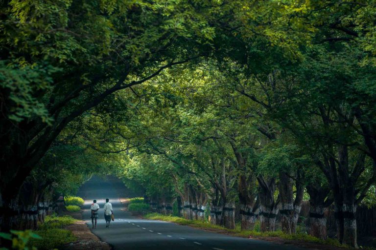 tourist places in tamilnadu during summer