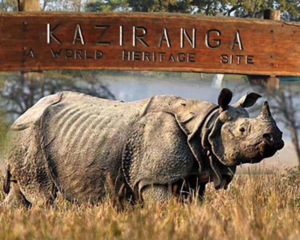 10 Best National Parks and Wildlife Sanctuaries in East India - Adventure  Places in East India