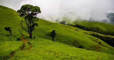 road trip to mahabaleshwar from mumbai