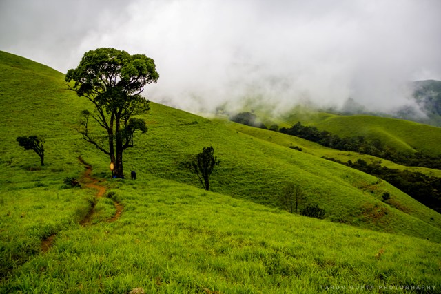 places to visit enroute bangalore to chikmagalur