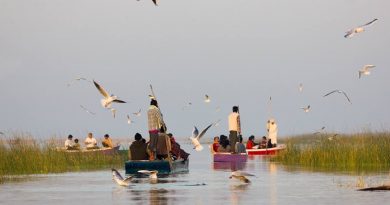 Nalsarovar