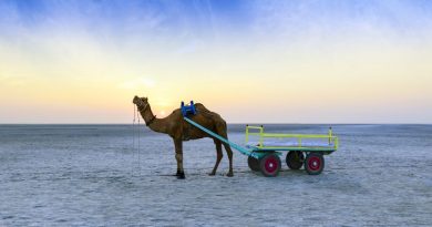 Rann of Kutch