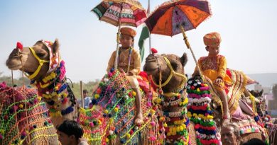 Pushkar Camel Festival