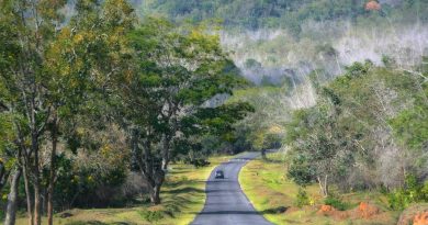 Bandipur National Park