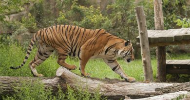 Nagarhole National Park