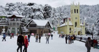 Shimla