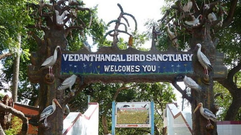 vedanthangal tourist places