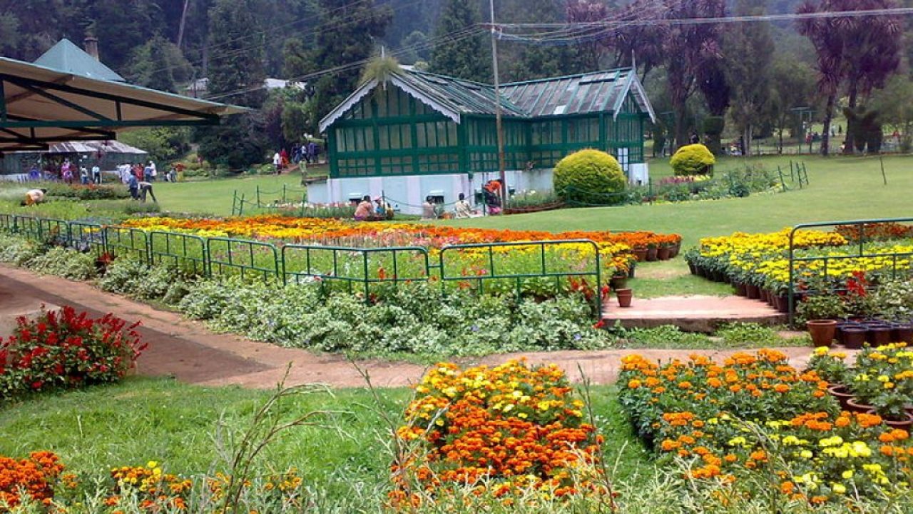 7 Best Botanical Gardens in India in 2022 - Opening Time, Entry Fee and  Things to Do