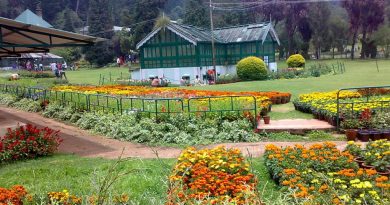 botanical garden in ooty
