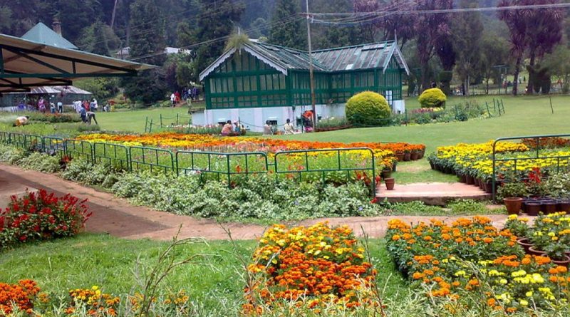 botanical garden in ooty