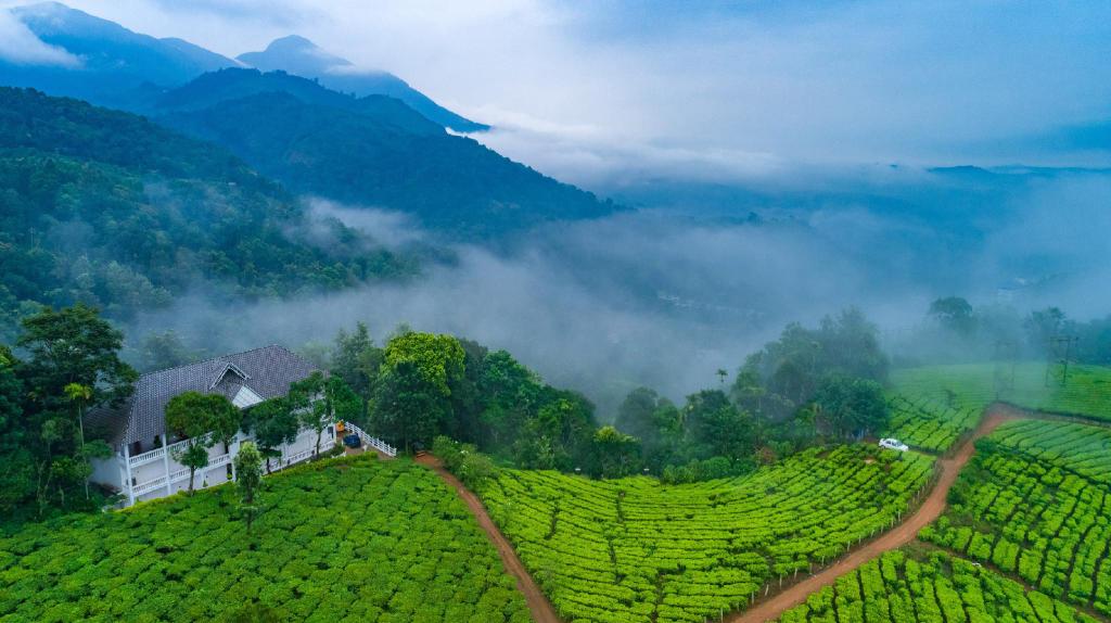 theni to munnar tourist places