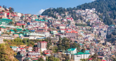 Shimla