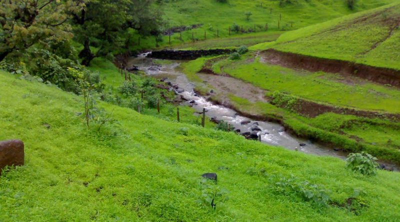 tours and travels nashik road