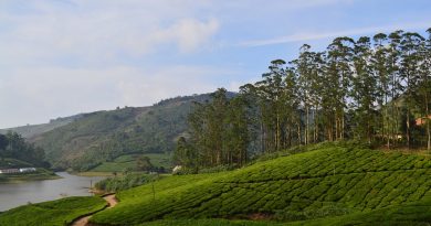 Unexplore Theni in Tamil nadu