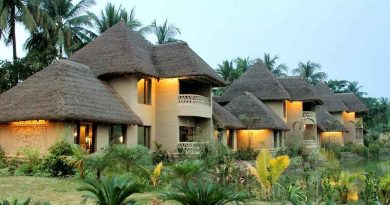 Vedic Village Resort