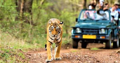 best safari south india