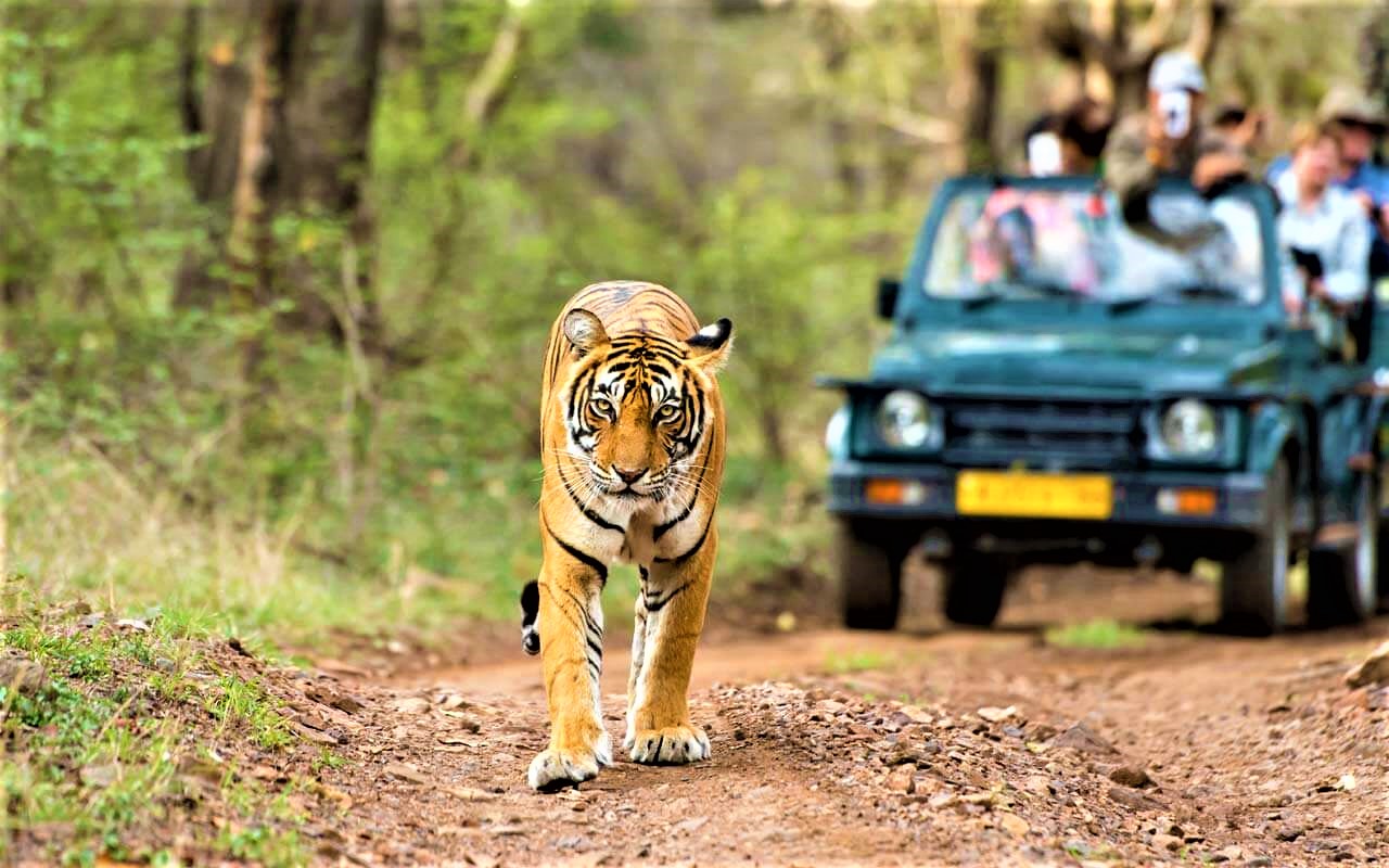 tour to wildlife sanctuary