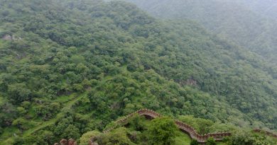 Kumbhalgarh Wildlife Safari