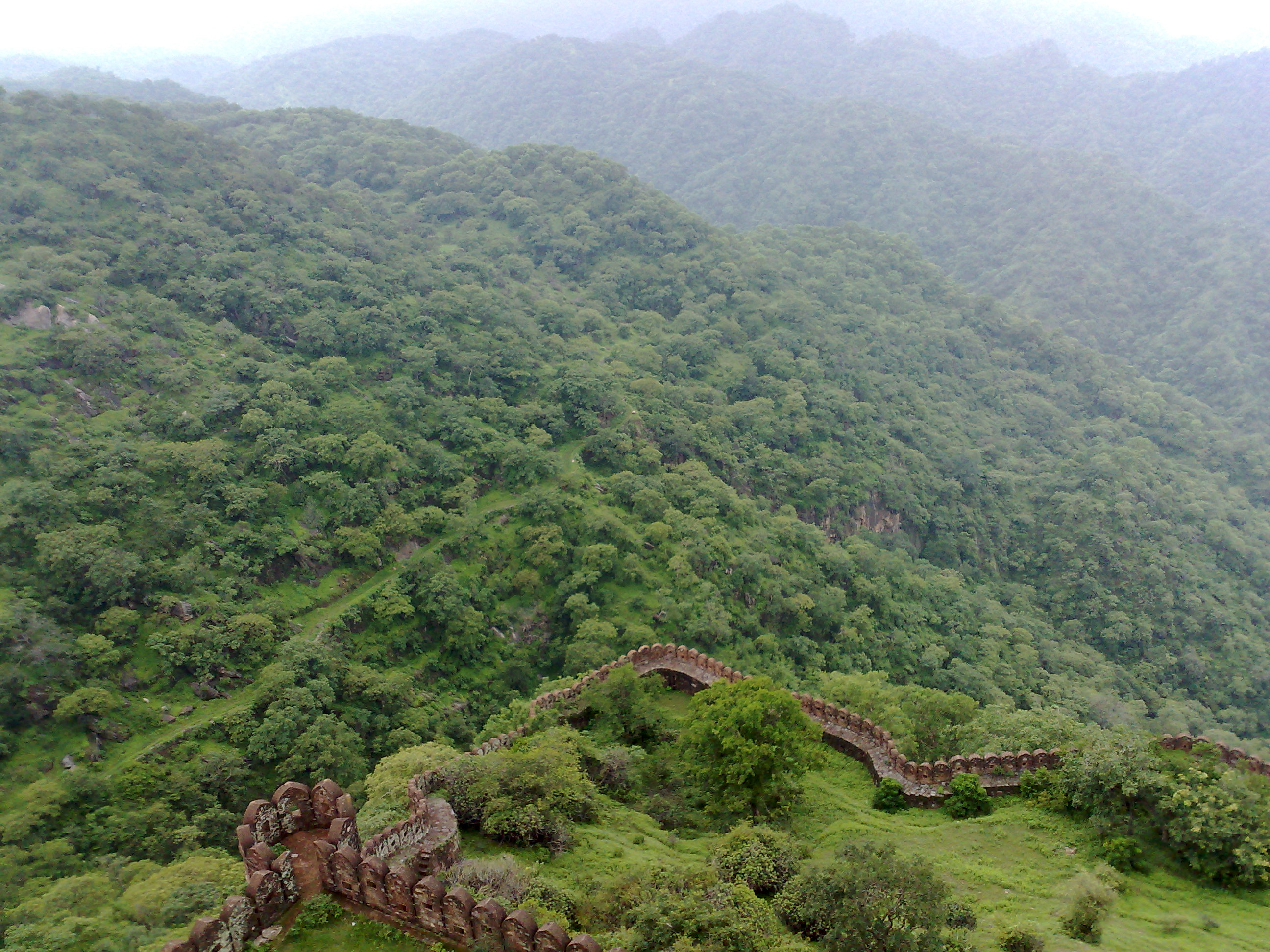 kumbhalgarh near safari