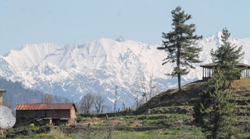 Thanedar, Himachal Pradesh