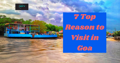 7 Top Reason to Visit in Goa