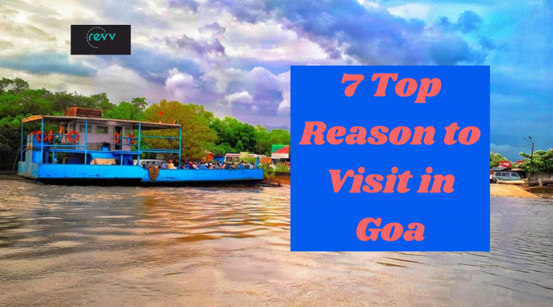7 Top Reason to Visit in Goa