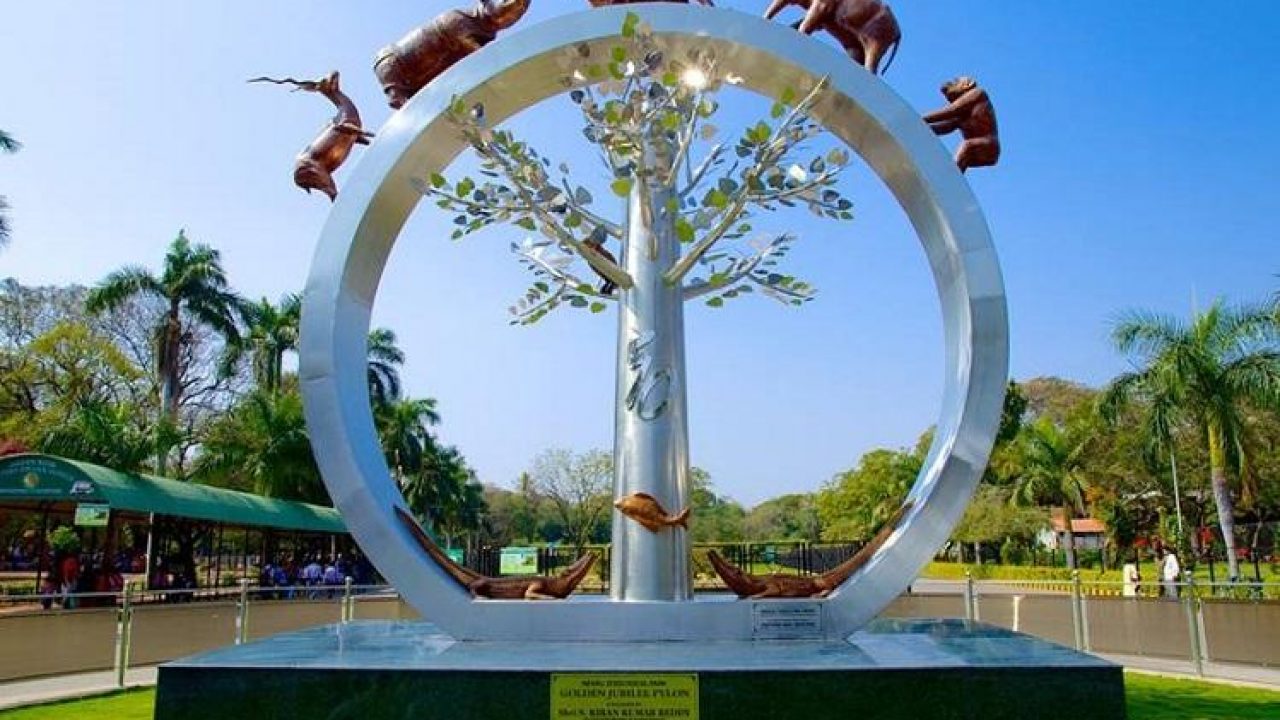 Weekend Road Trip to Nehru Zoological Park in Hyderabad - Things to See and  Activity to Do