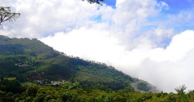 Mudumalai, Tamil Nadu