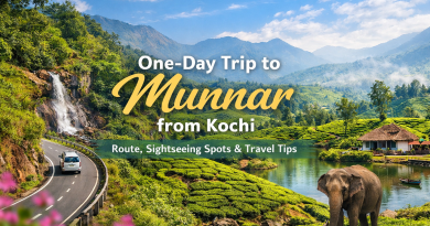 one day trip to munnar from kochi
